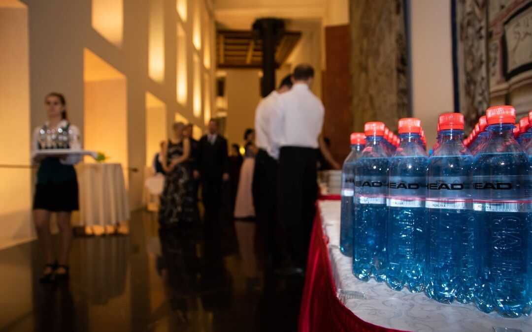 Gala Ball CASTLE GUARD